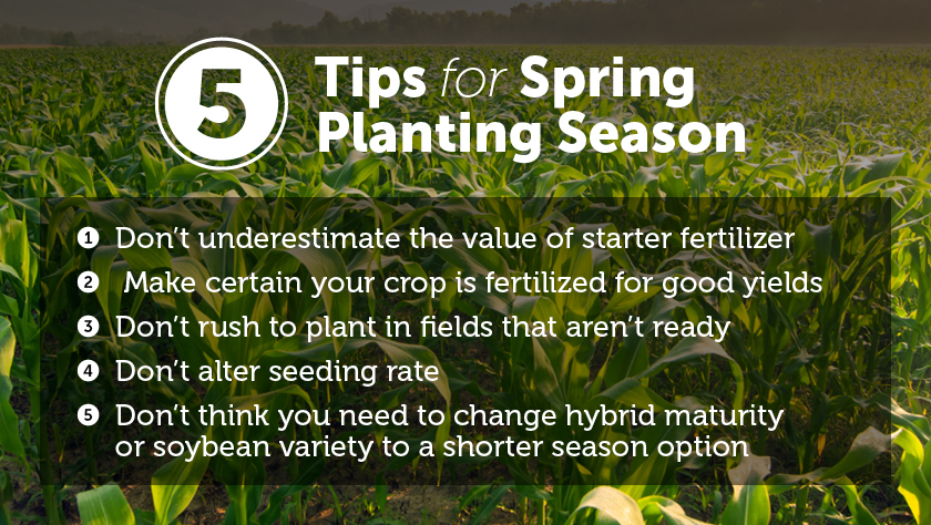 5 tips for spring planting season