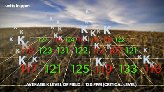 A graphic of K levels in a field relative to the average in ppm.