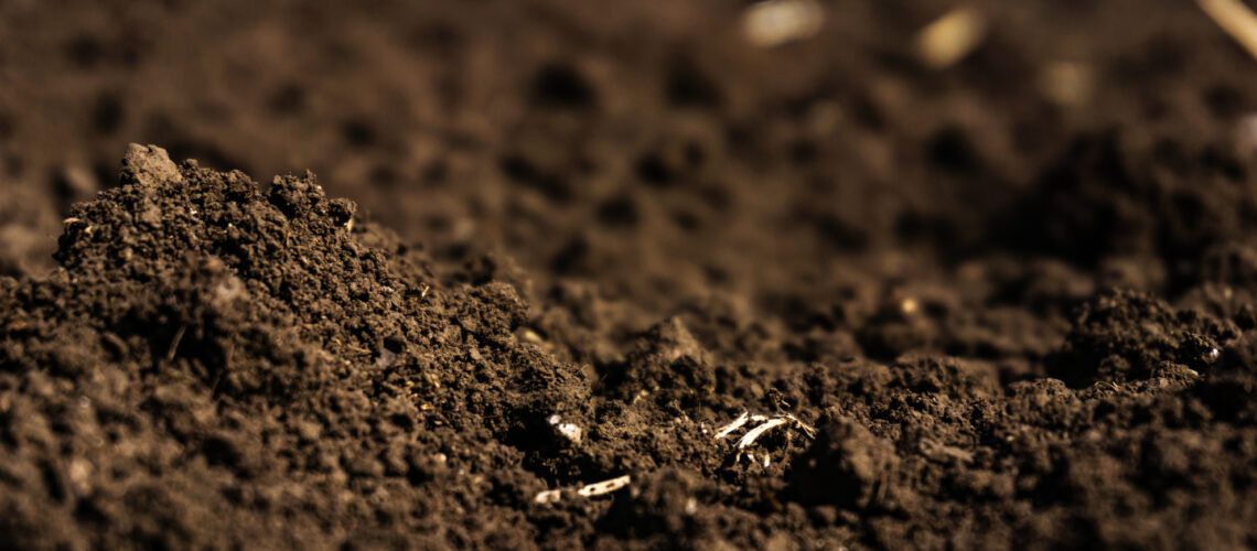 Closeup of a plowed field, fertile, black soil.