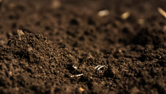 Closeup of a plowed field, fertile, black soil.
