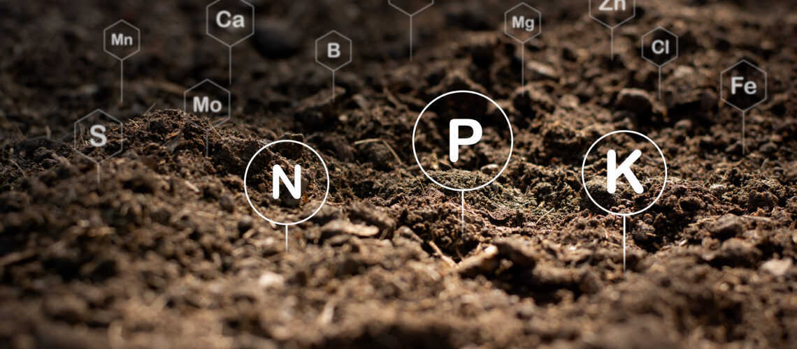 The fertile loamy soil for planting with the iconic technology in soil is the essential food of plants.