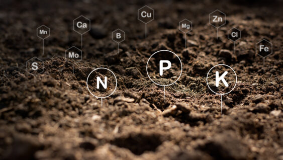 The fertile loamy soil for planting with the iconic technology in soil is the essential food of plants.