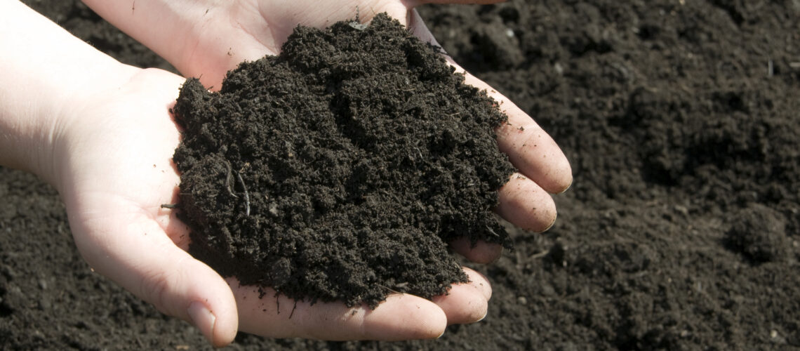 An agronomist's hands holding a pile of healthy dark soil.