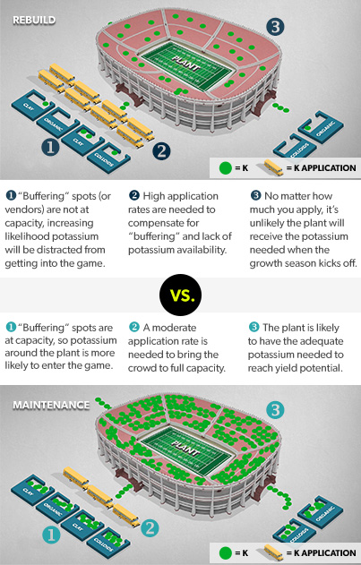 Potassium Sufficiency Rebuild Vs Maintenance