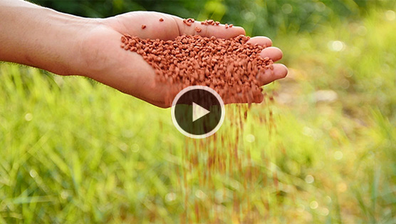 a hand pouring fertilizer pellets into a field