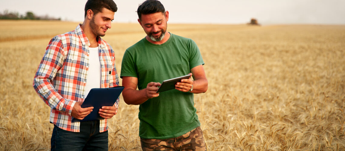 Two farmers stand in wheat stubble field, discuss harvest, crops.