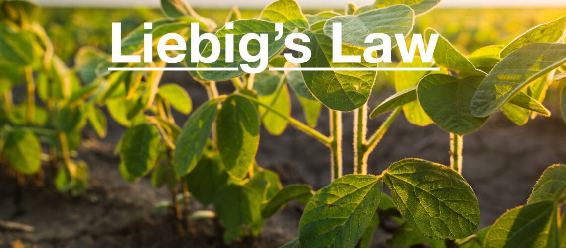 Liebig's Law of the Minimum