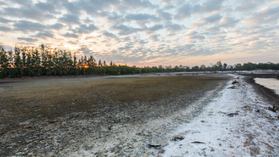Landscape of salt mines during a break in production in rainy season.