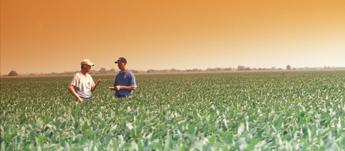 Two agronomists talking in a field.