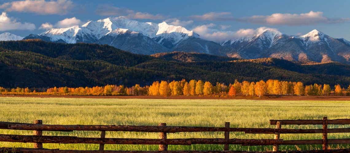 Farm field of cereals with fence opposite snow mountains in autumn.
