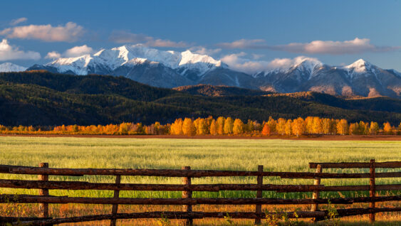 Farm field of cereals with fence opposite snow mountains in autumn.