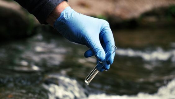 Subsurface Phosphorus Placement Could Help Improve Water Quality