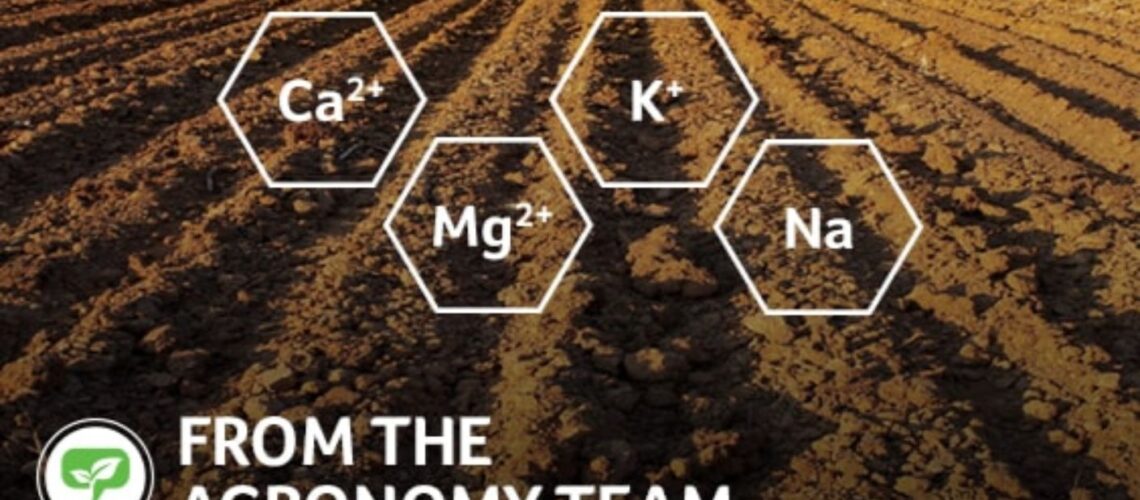 a graphic of nutrients in the soil with the text 'From the Agronomy Team'