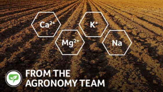 a graphic of nutrients in the soil with the text 'From the Agronomy Team'
