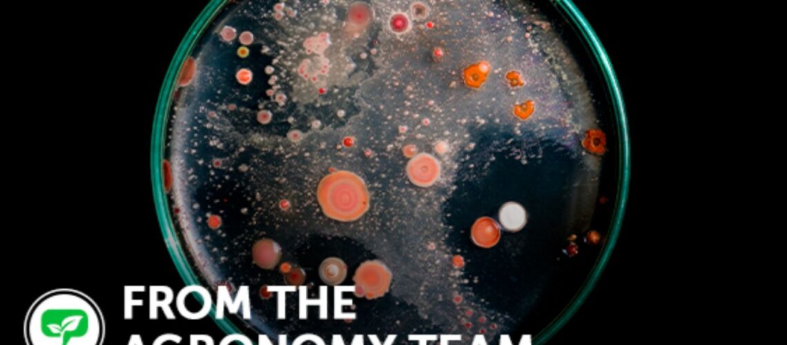 A petri dish of soil microbes with text 'From the Agronomy Team'