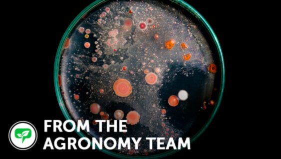 A petri dish of soil microbes with text 'From the Agronomy Team'