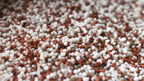 Macro shot of mixed chemical. Minerals used in agriculture, farms, fields.