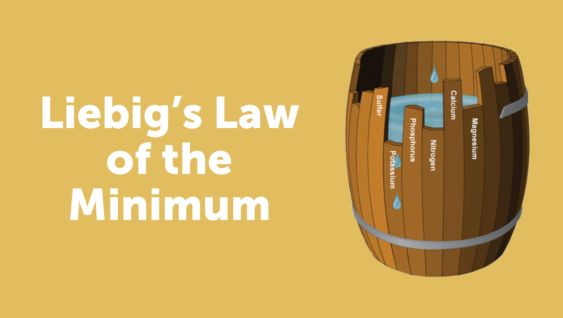 Liebig’s Law of the Minimum