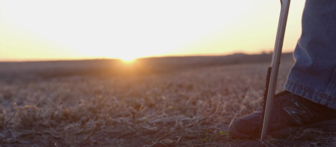 A farmer doing a soil test at sunset.