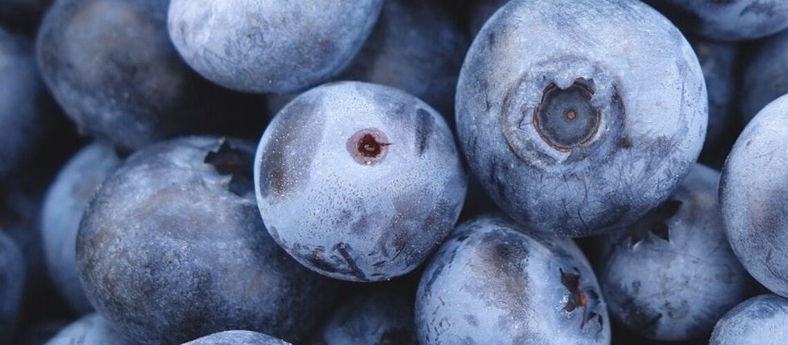 A close up of picked blueberries.