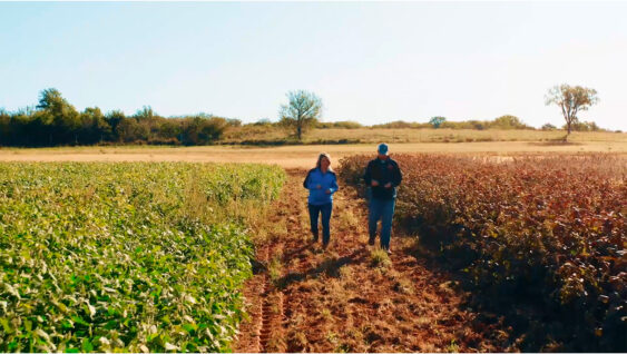 Two agronomists walking through a field.