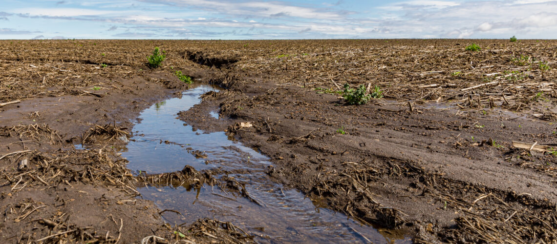 Heavy rains in the midwest causing flooding and eroding dirt in a farm field creating a waterway and delaying corn and soybean planting.