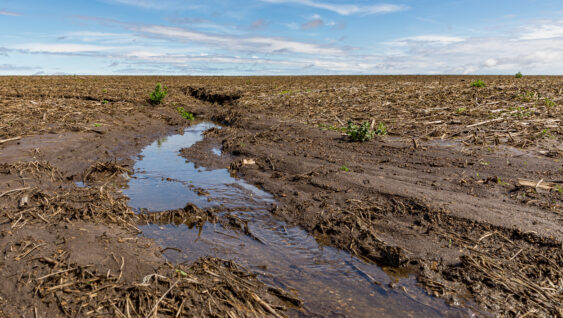Heavy rains in the midwest causing flooding and eroding dirt in a farm field creating a waterway and delaying corn and soybean planting.