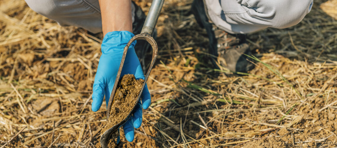 Agronomist Taking Sample with Soil Probe Sampler.
