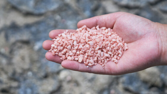 The Importance of Potassium fertilizer