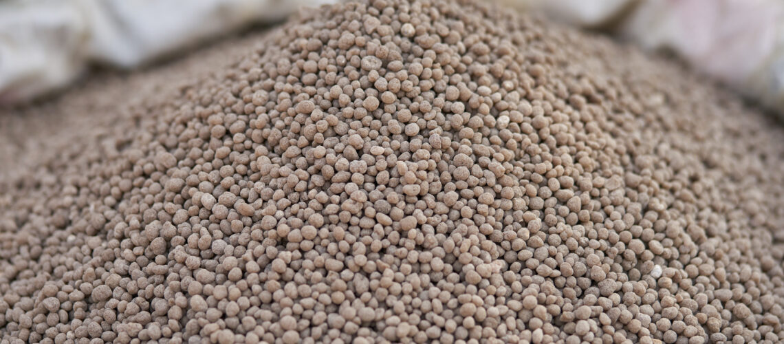 Diammonium phosphate (DAP) fertilizers in fertilizer bag.