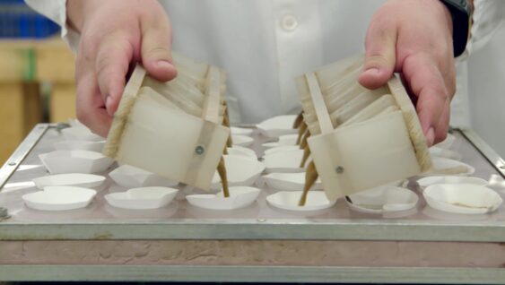 Soil Testing: From The Fields To The Lab