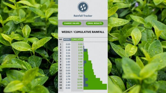 rainfall tracker hero image