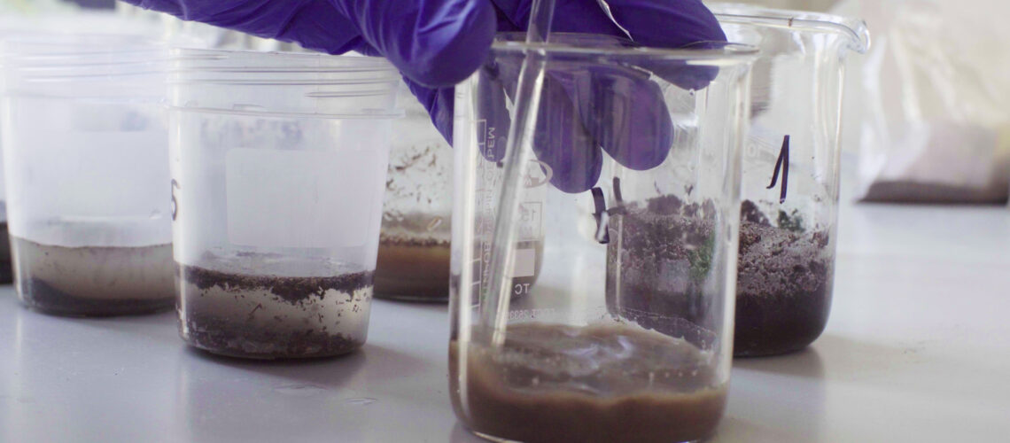 Close up hands of a scientist mixing samples of the soil with water in beakers.