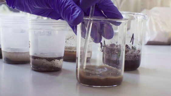 Close up hands of a scientist mixing samples of the soil with water in beakers.
