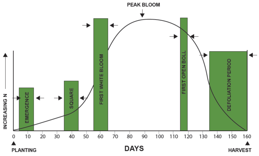 Mitigating Nitrogen Loss In Cotton