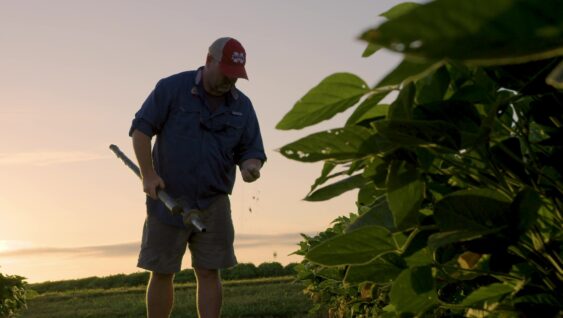 A farmer testing his soil at sunset.