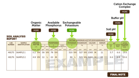 A table comparing two soil analysis results in terms of organic matter, available phosphorus, potassium, soil pH, buffer, pH, and cation exchange complex.