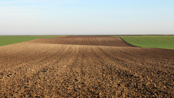 A plowed field landscape during autumn season.