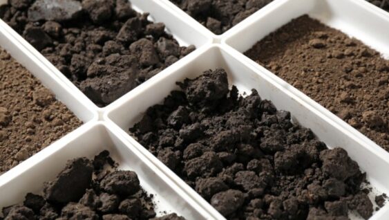 Trays with different types and colours of soil in each section.