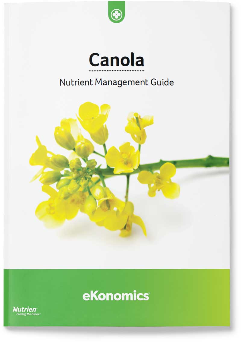 Crop management guide. Canola nutrient management.