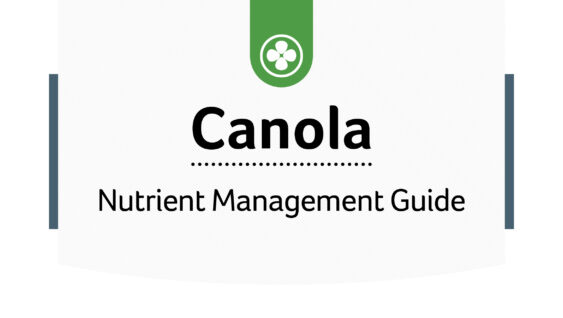 canola nutrient management guide