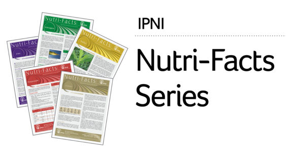 A display of the IPNI Nutri-Facts Series infographics.
