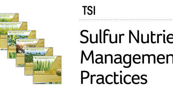 An index of TSI Sulfur Nutrient Management practices infographics.