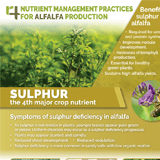 http://An%20infographic%20of%20sulfur%20for%20alfalfa%20production.