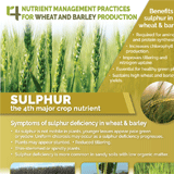 http://An%20infographic%20of%20sulfur%20for%20wheat%20and%20barley%20production.