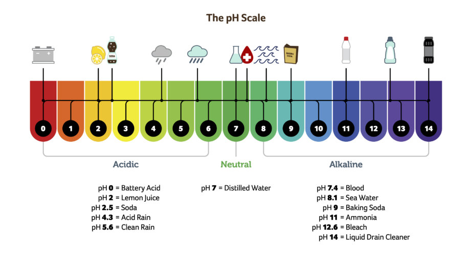 PH Scale