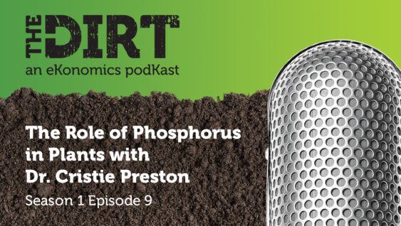 Promotional image for The Dirt PodKast featuring a microphone, with text 'The Role of Phosphorus in Plants, Season 1 Episode 9'