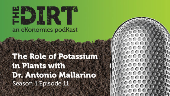 Promotional image for The Dirt PodKast featuring a microphone, with text 'The Role of Potassium in Plants, Season 1 Episode 11'