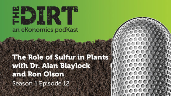 Promotional image for The Dirt PodKast featuring a microphone, with text 'The Role of Sulfur in Plants, Season 1 Episode 12'