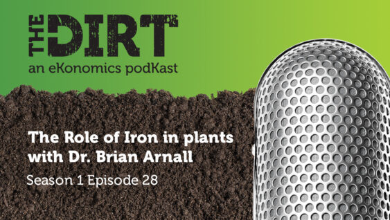 Promotional image for The Dirt PodKast featuring a microphone, with text 'The Role of Iron in plants, Season 1 Episode 28'